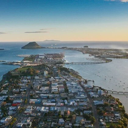 Counting down to the 2021 NZILA Firth conference 