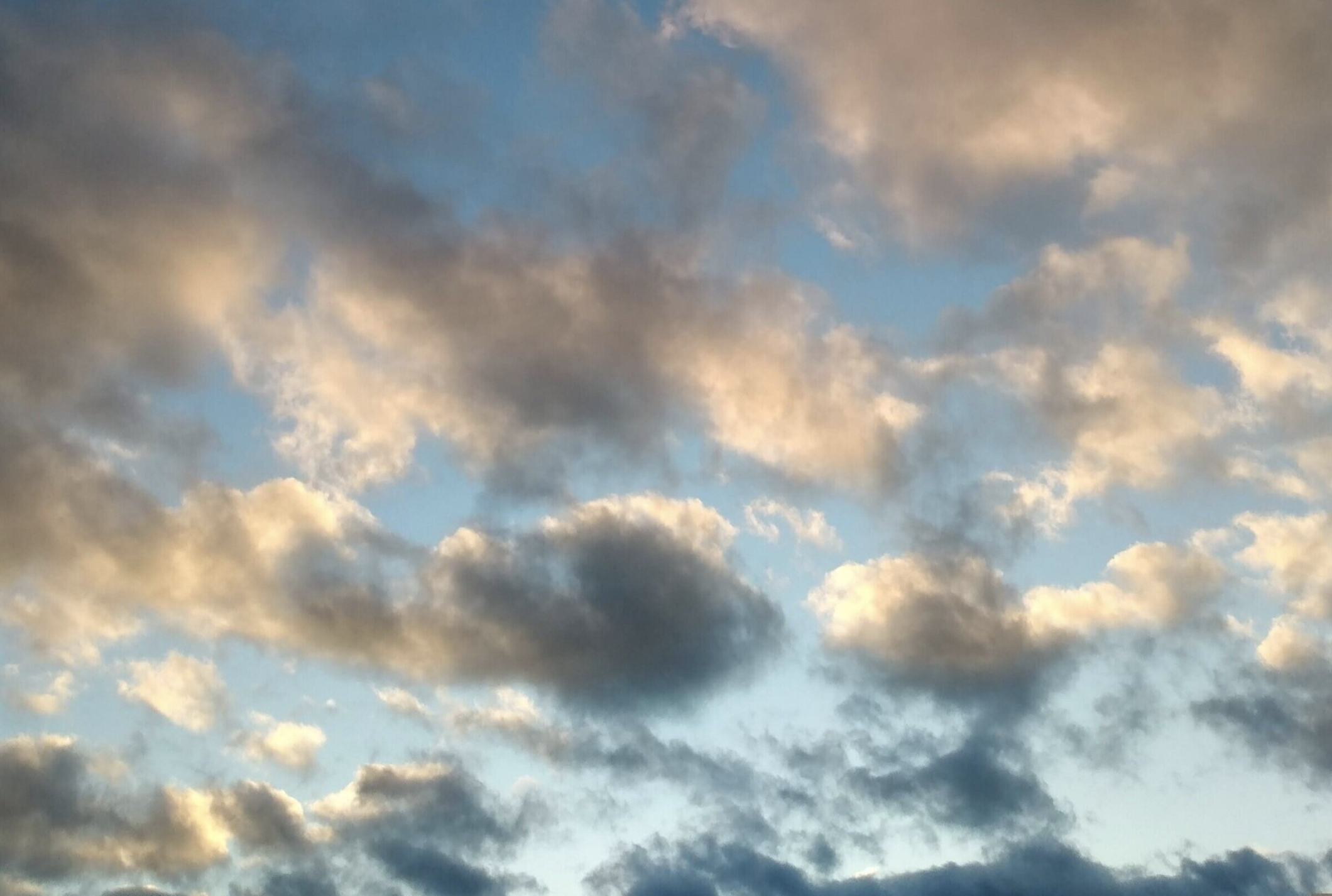 IFLA is looking for six experienced members to chair working groups.