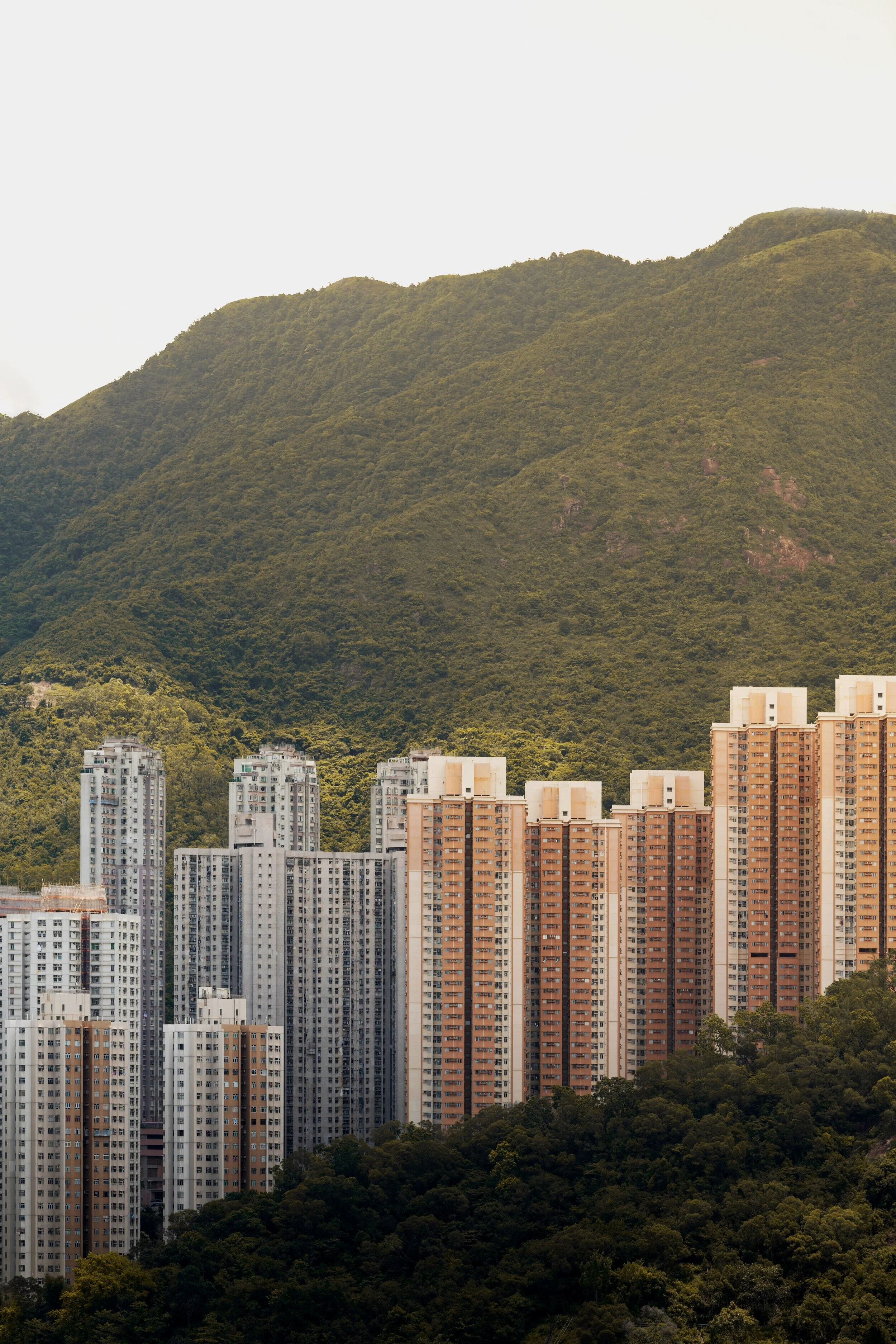 Kris Provoost wanted to look at how locals&nbsp; lived, and if the region was becoming unliveable.