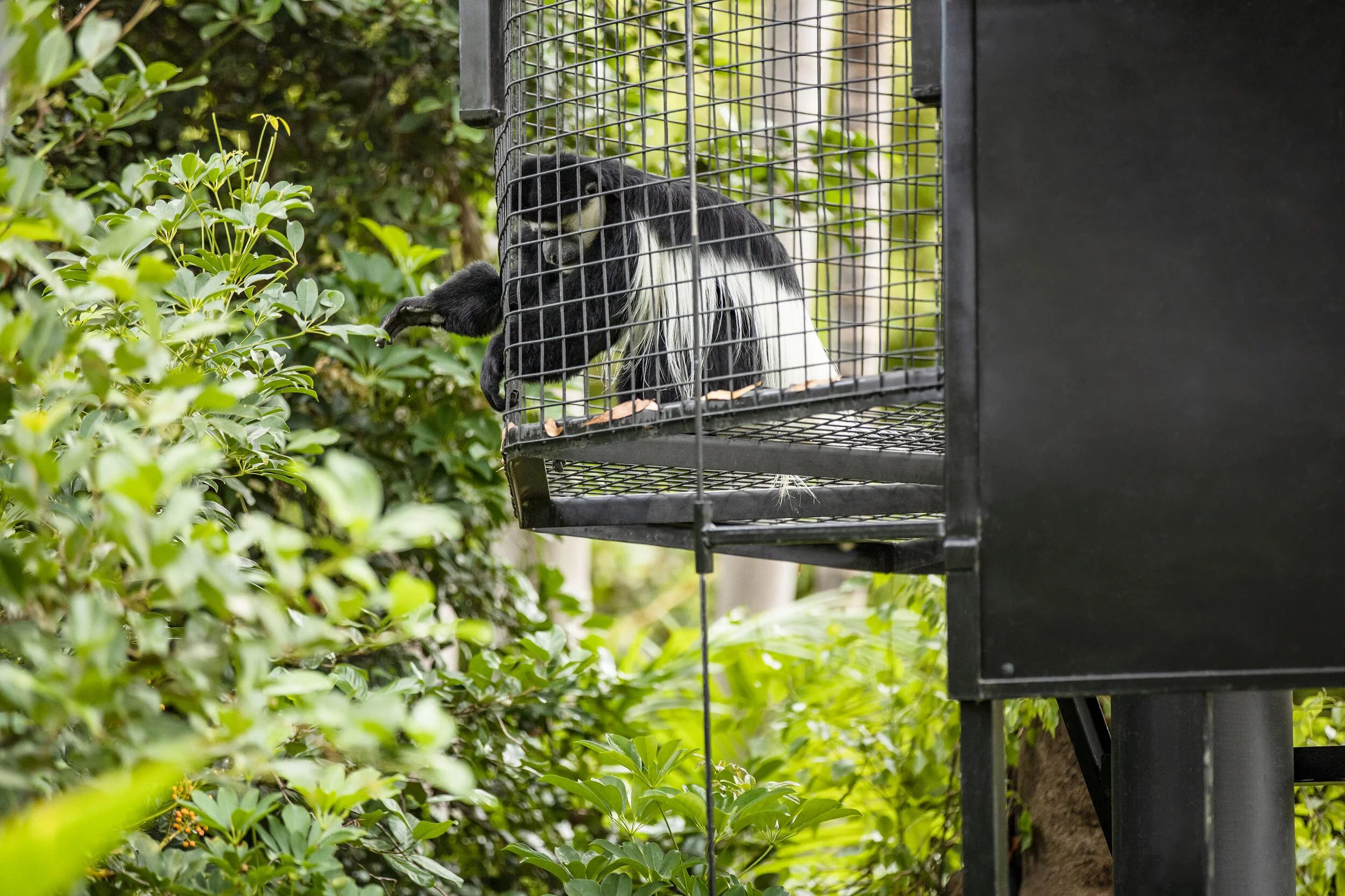 Image credit: Sweet Lime Photo