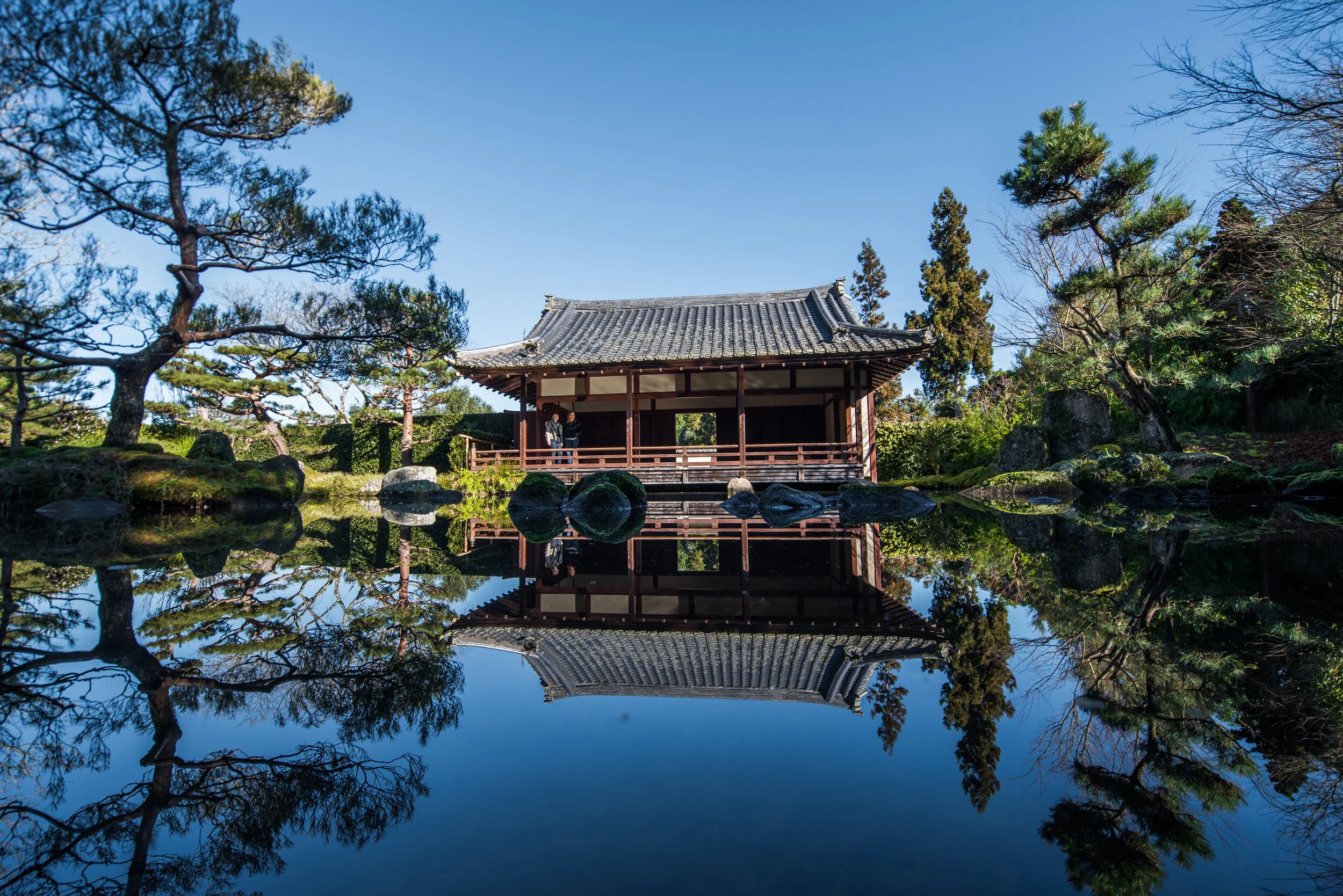 The Japanese Garden of Contemplation