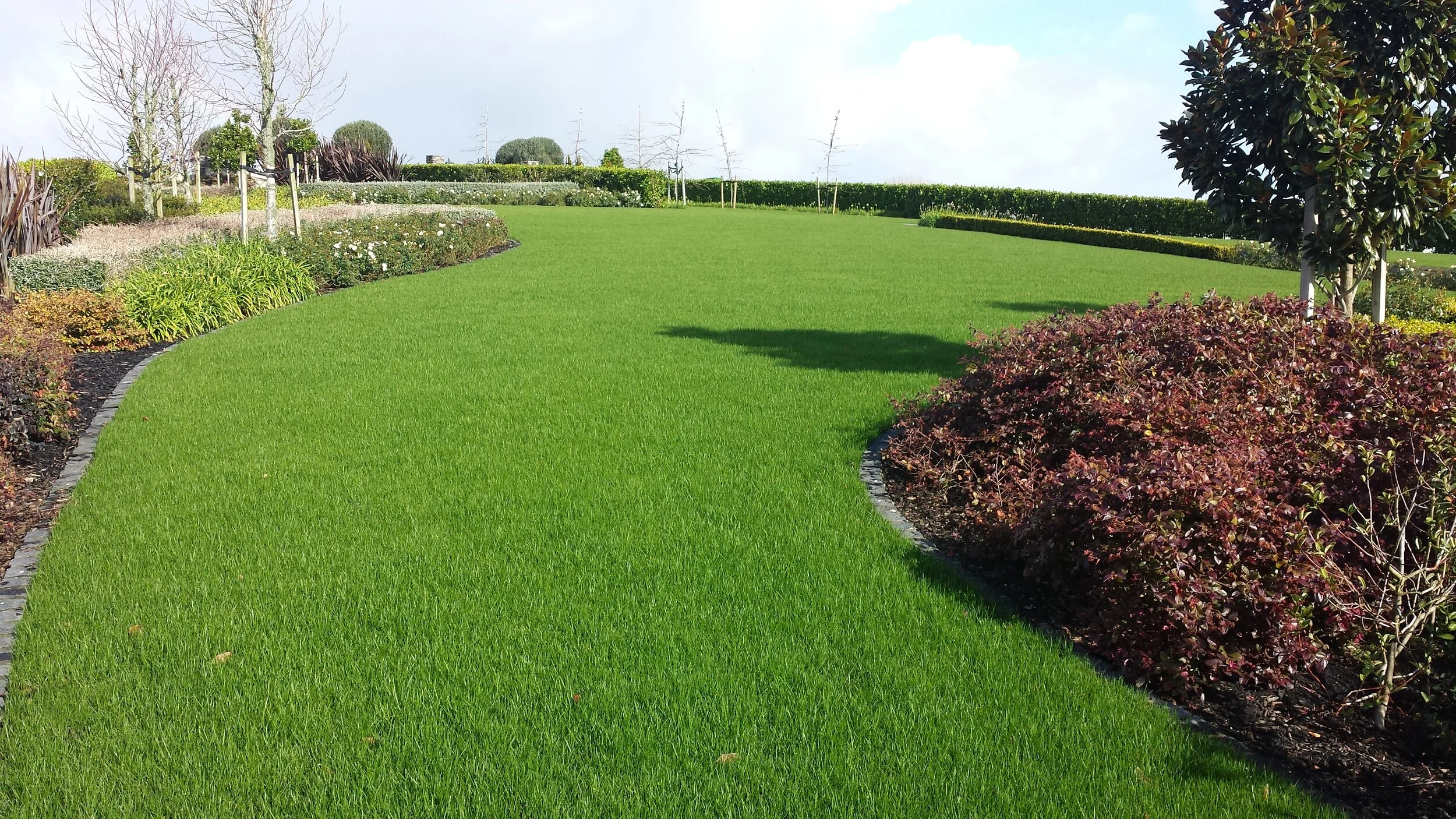 Gellert south lawn.jpg