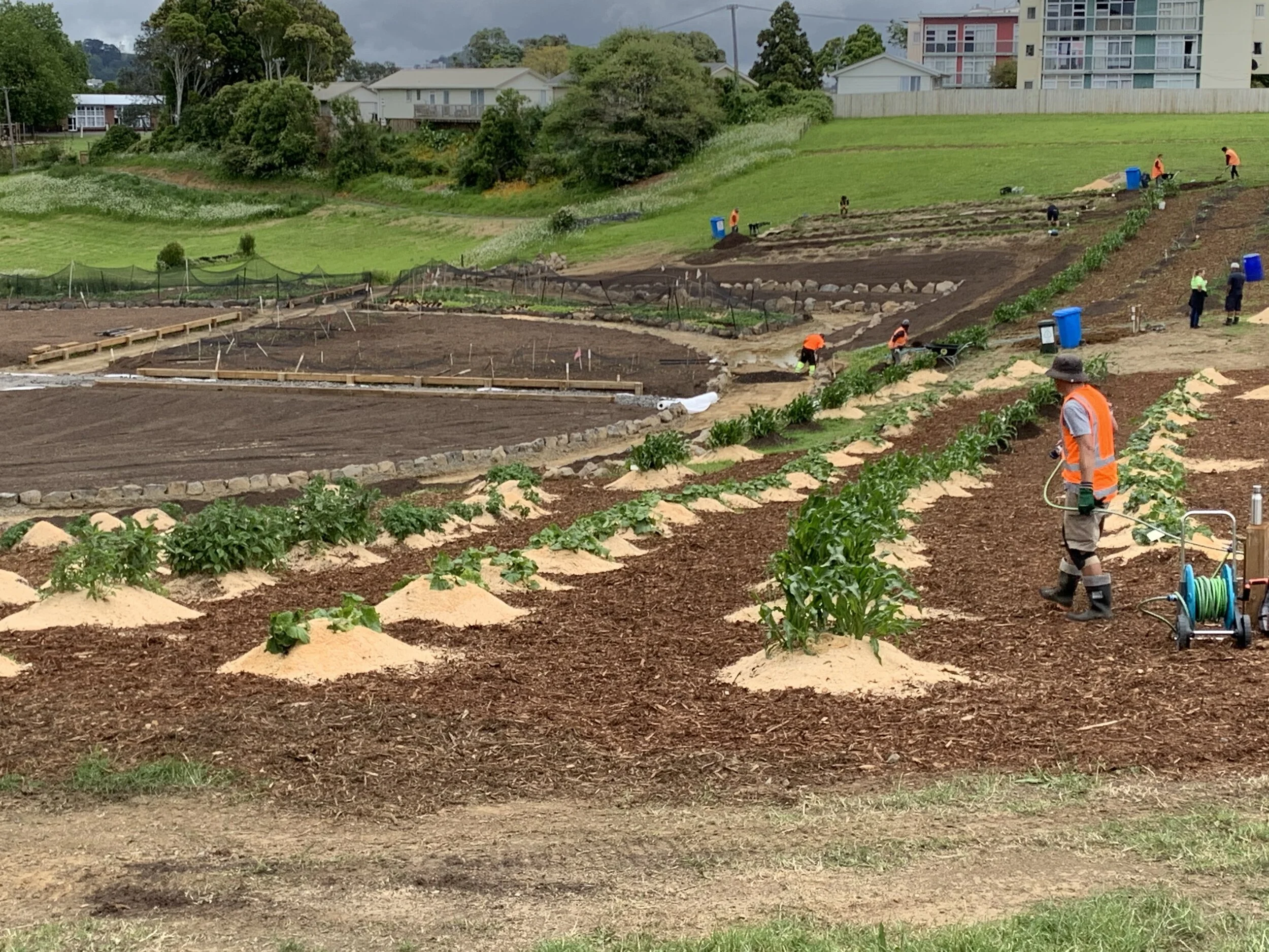 Constructing the garden.
