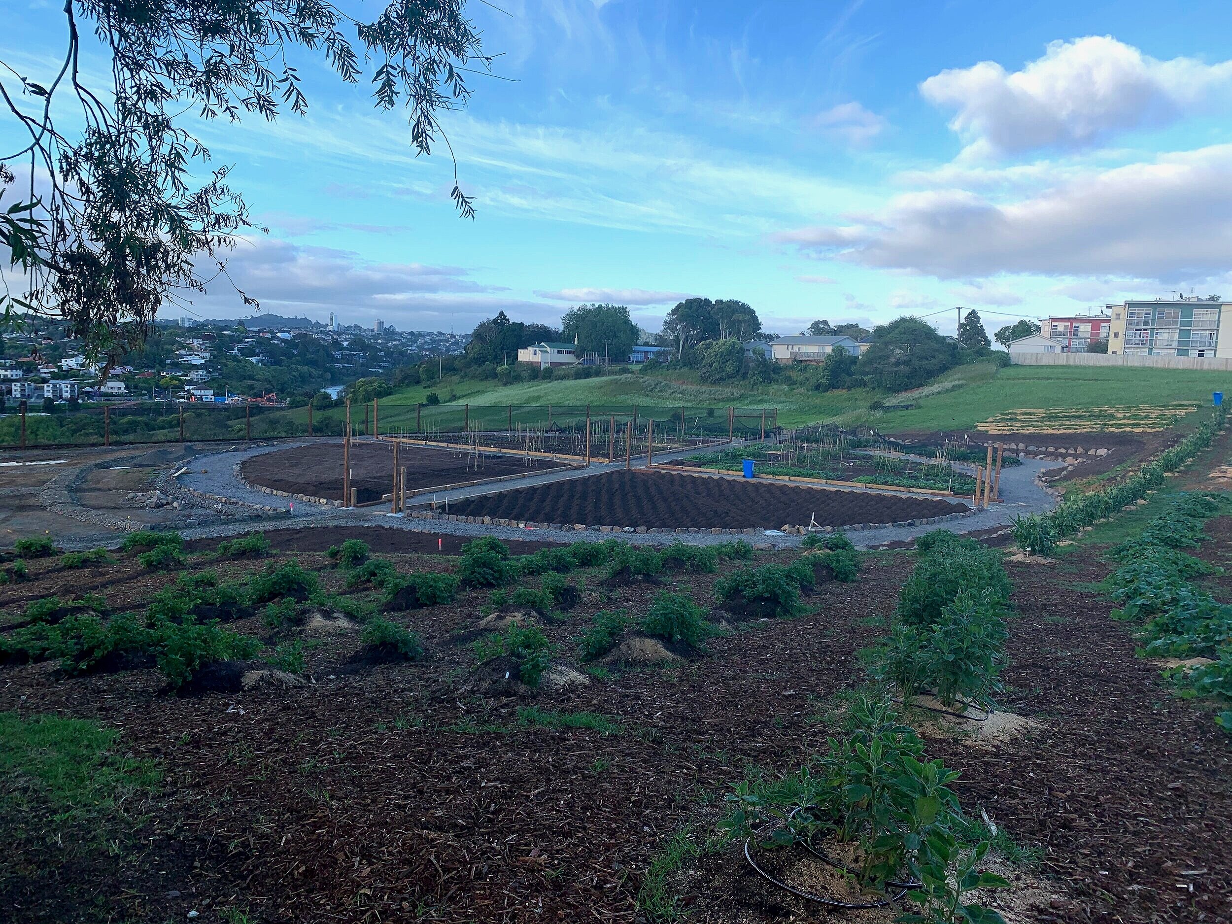 An overview of the Māra Kai.