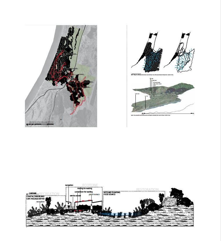 Vina Quartermain’s thesis was titled: Designed Ecologies: Breaking away from islandised conservation