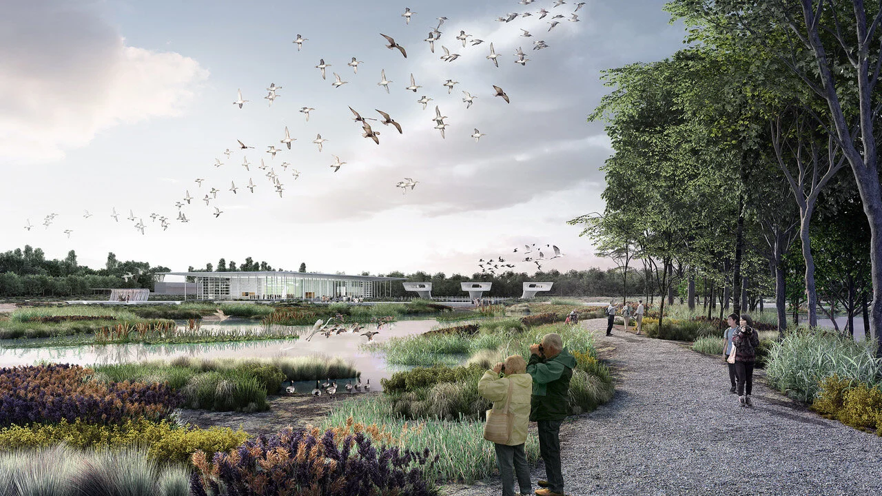 Lingang Eco Park - a would-be wetland sanctuary for migrating birds