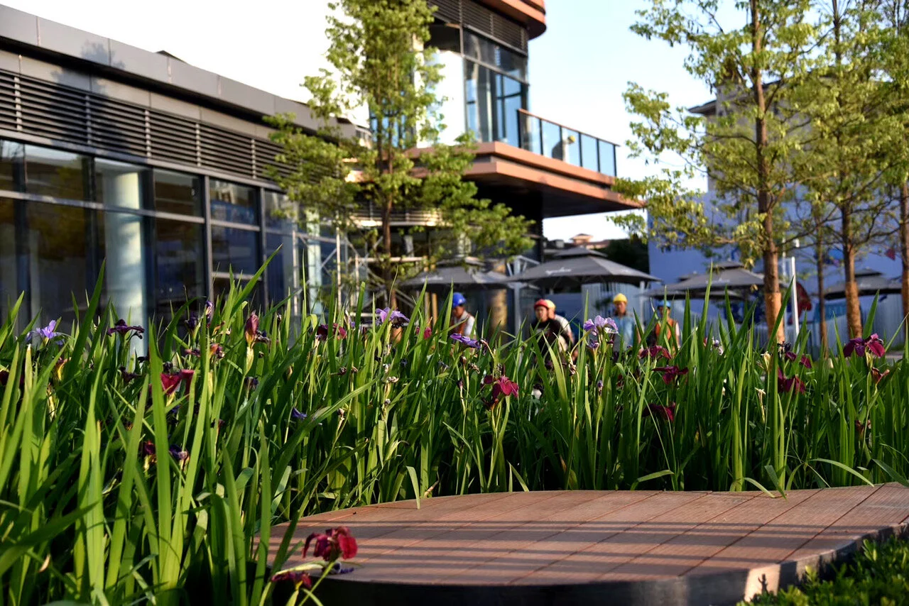 HyperLane is defined by its use of the Phoebe Zhennan tree which is registered on the endangered species list due to habitat loss. Image credit - Aspect Studios.