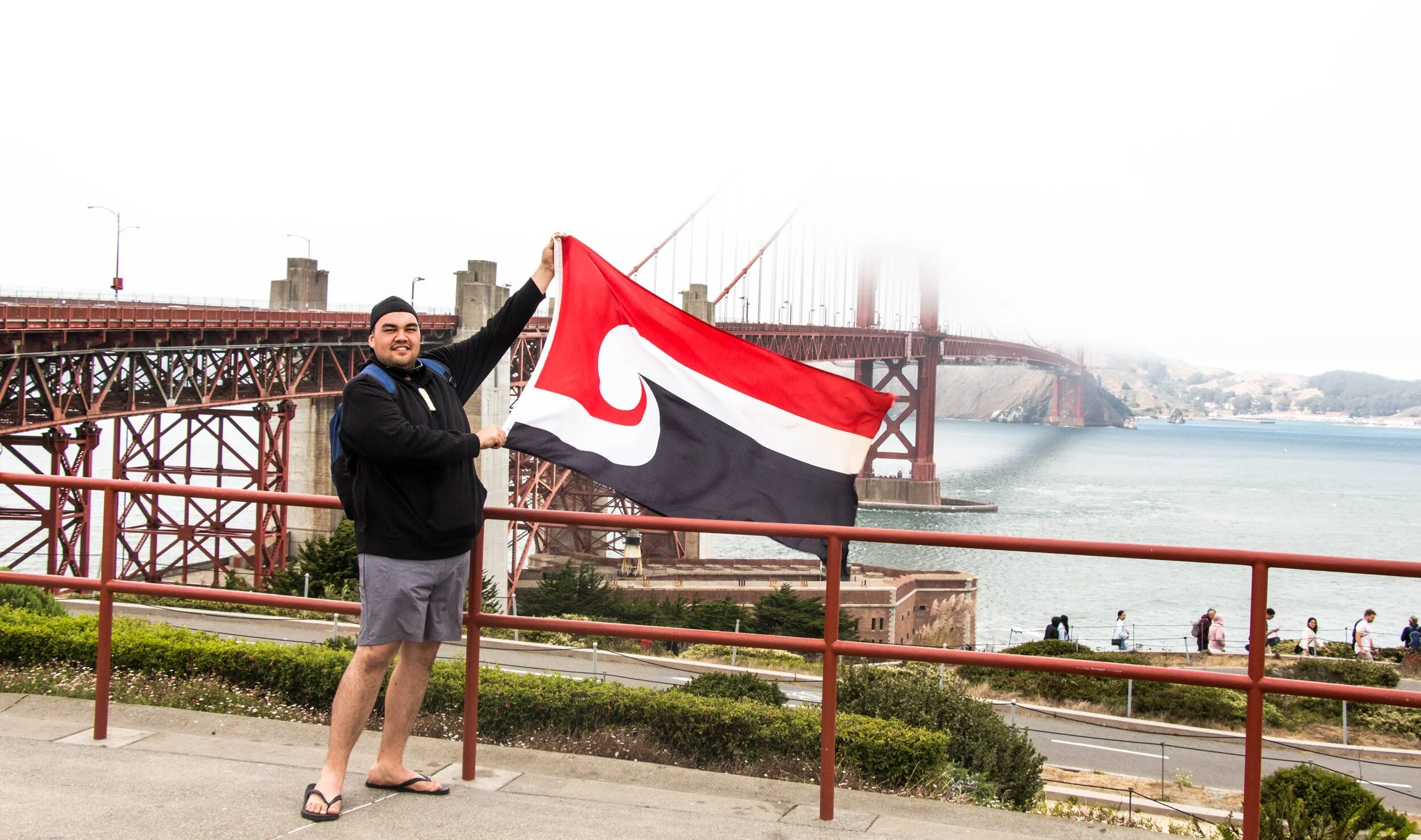 The future of 'Landscapes of Aotearoa.' 