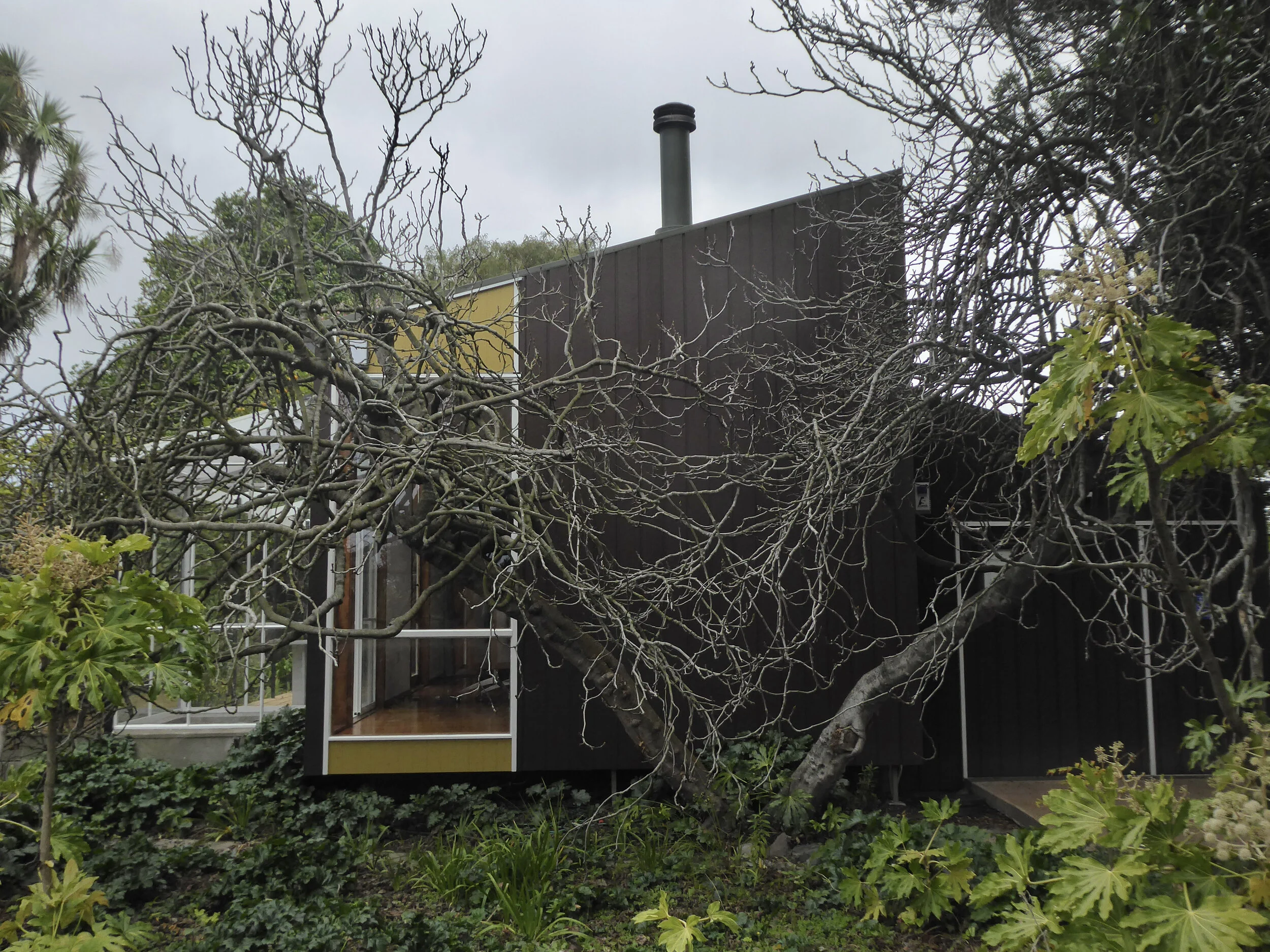 Preserving landscape artist Bill Sutton's garden