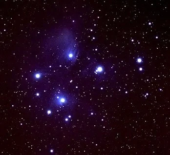 Matariki for landscape architects