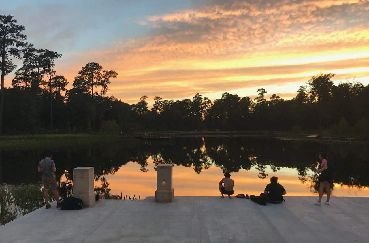 Eastern Glades at Houston's Memorial Park