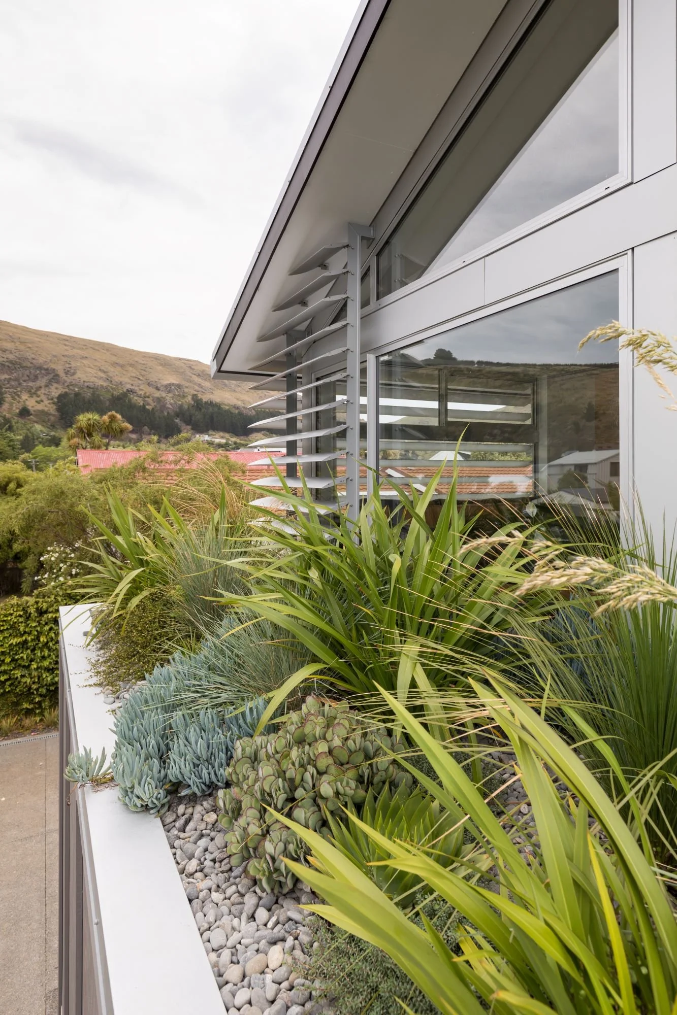 A residential garden in Christchurch