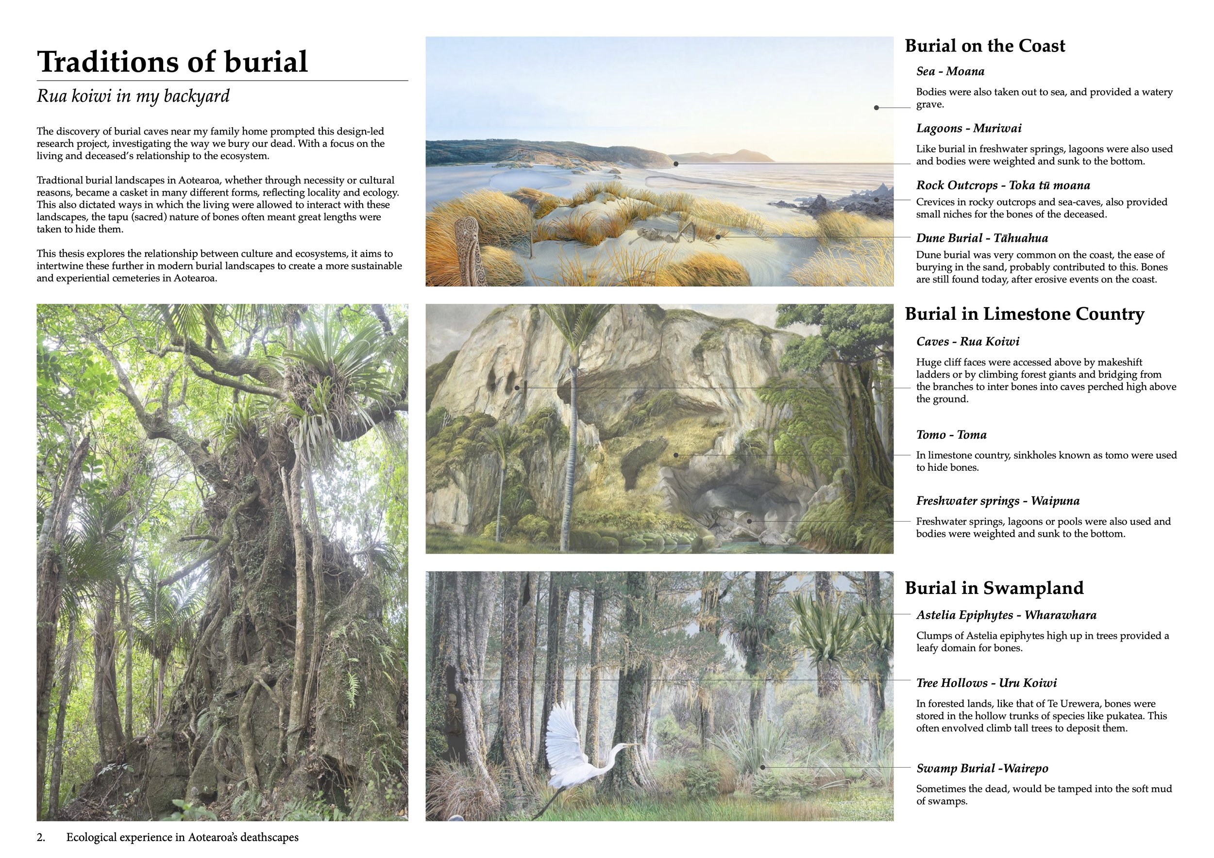 Deathscapes in Aotearoa