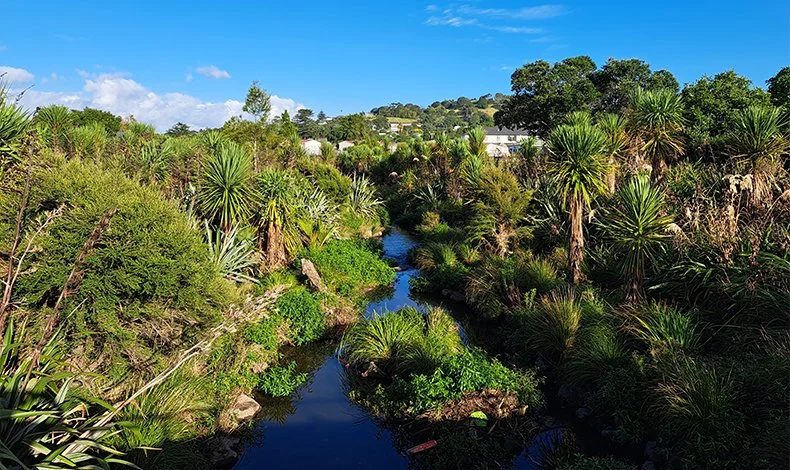 Auckland's Green Infrastructure
