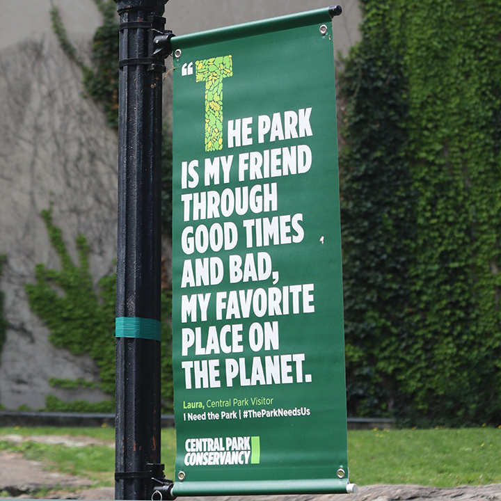 Gaining new insights into New York City