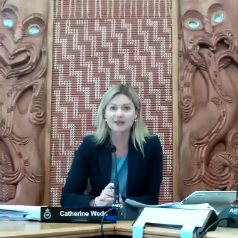 Submitters being heard on the Planning and Natural Environment bills 