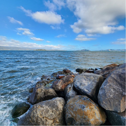 Edge Reprised: A long-form read from Landscape Review