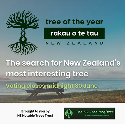 Reasons to vote for your 2026 Tree of the year / Rākau o te tau 