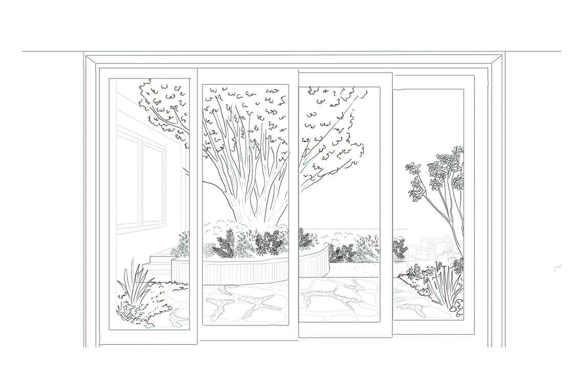 XWD - Perspective B.png
