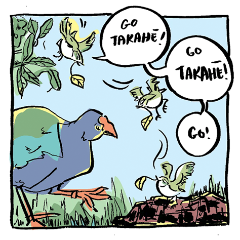 Could the Takahē be Te Manu Rongonui o te Tau 2026?