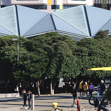 Trees are critical infrastructure