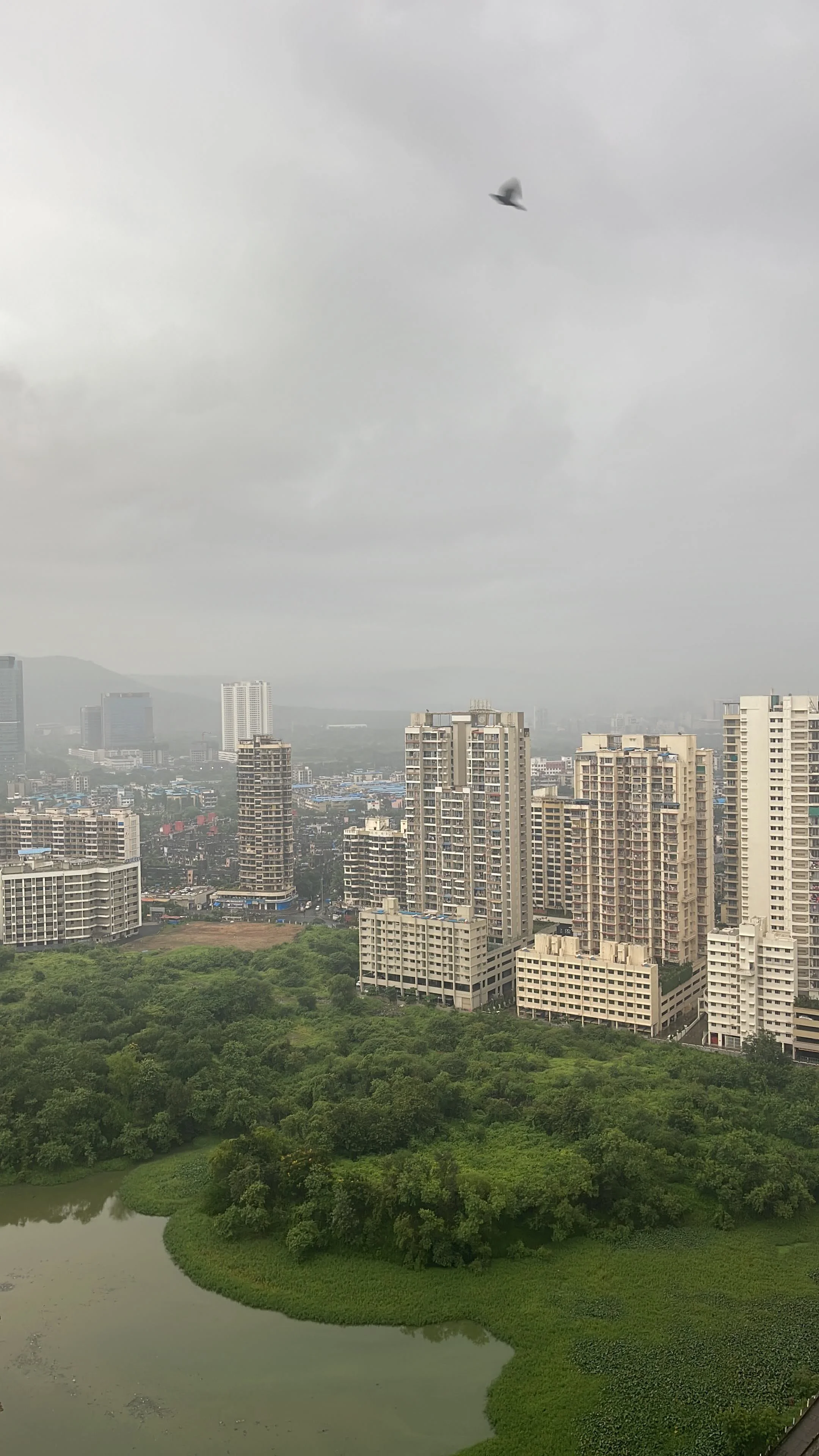 View from home looking East_ghansoli Mumbai.jpg