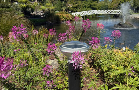 Solar Lighting NZ – Reliable, Sustainable Outdoor Lighting Solutions