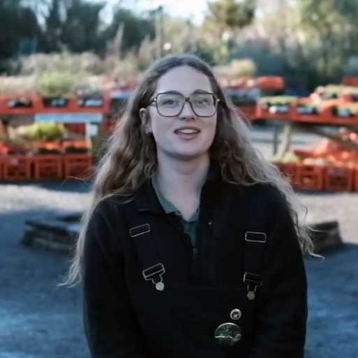 Laura Davison: Firmly planted with Trees for Canterbury