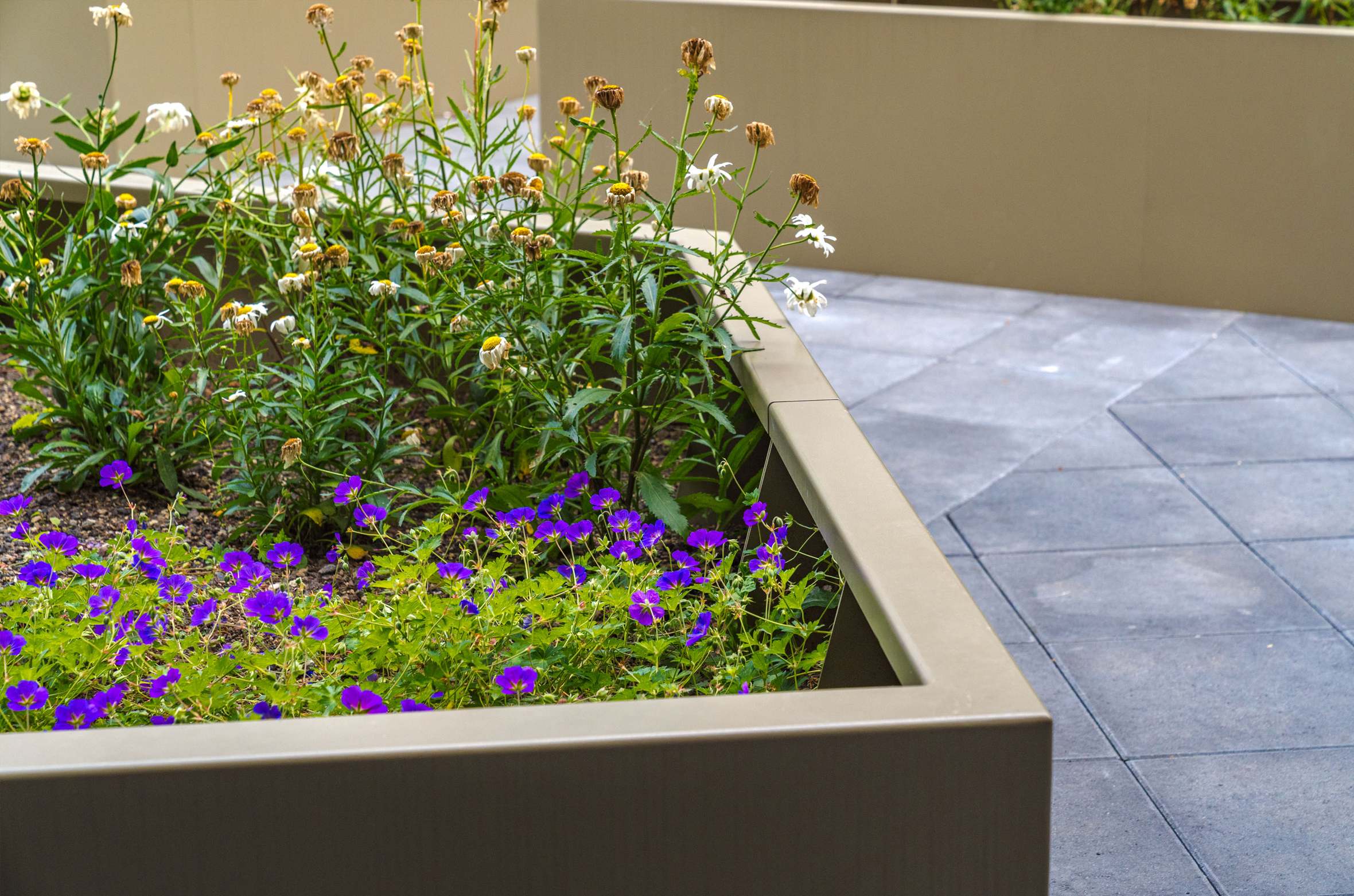 Retaining Walls Reconsidered: Architectural Structure in Contemporary ...