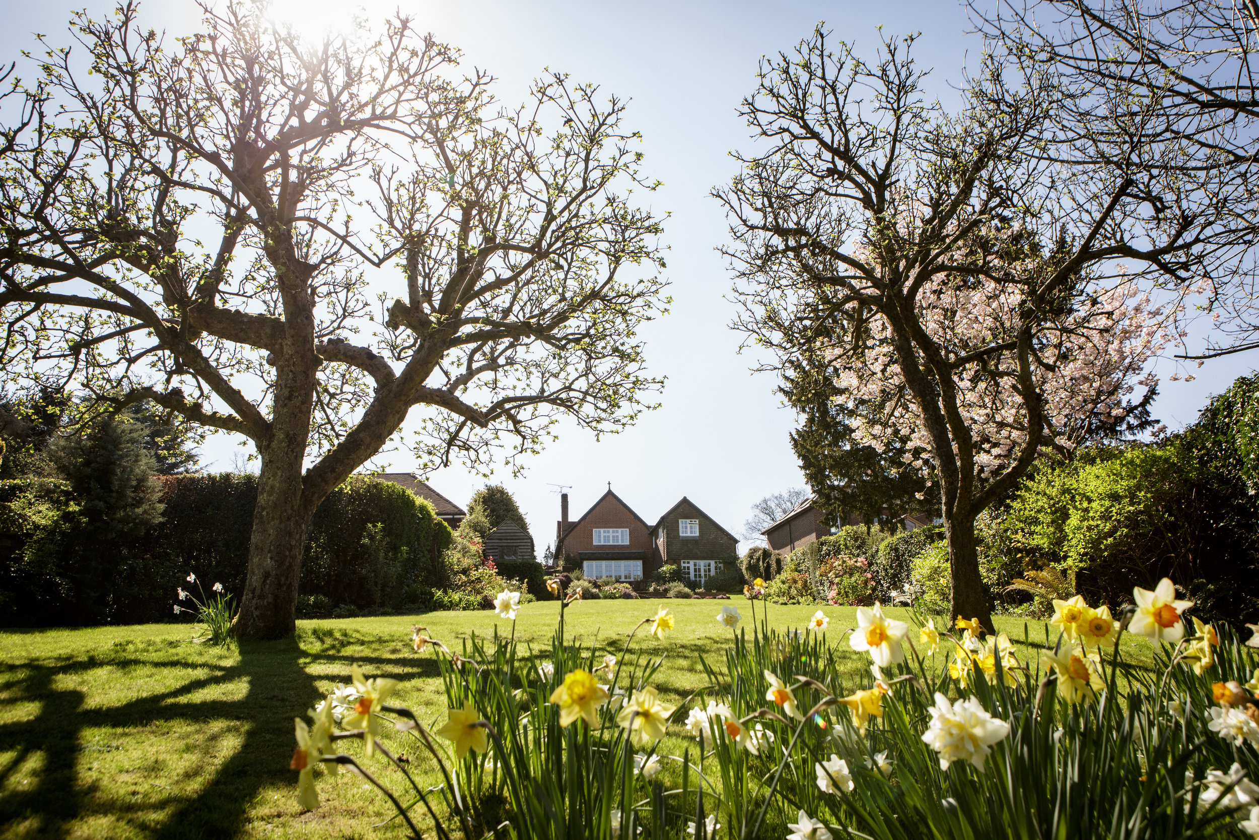 My parent's house in the village of Dockenfield, in surrey, about an hour outside of London.