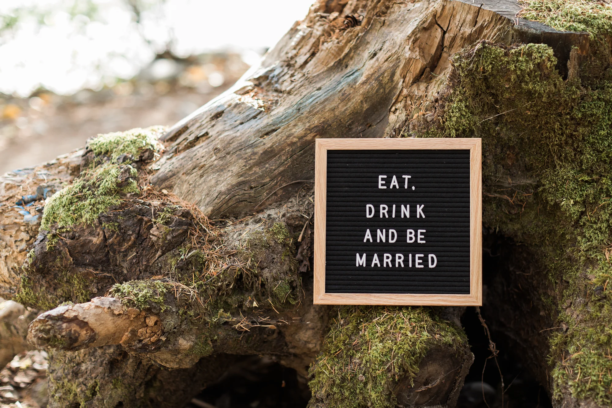 Joanna Monger Photography Index Styled shoot-47.jpg