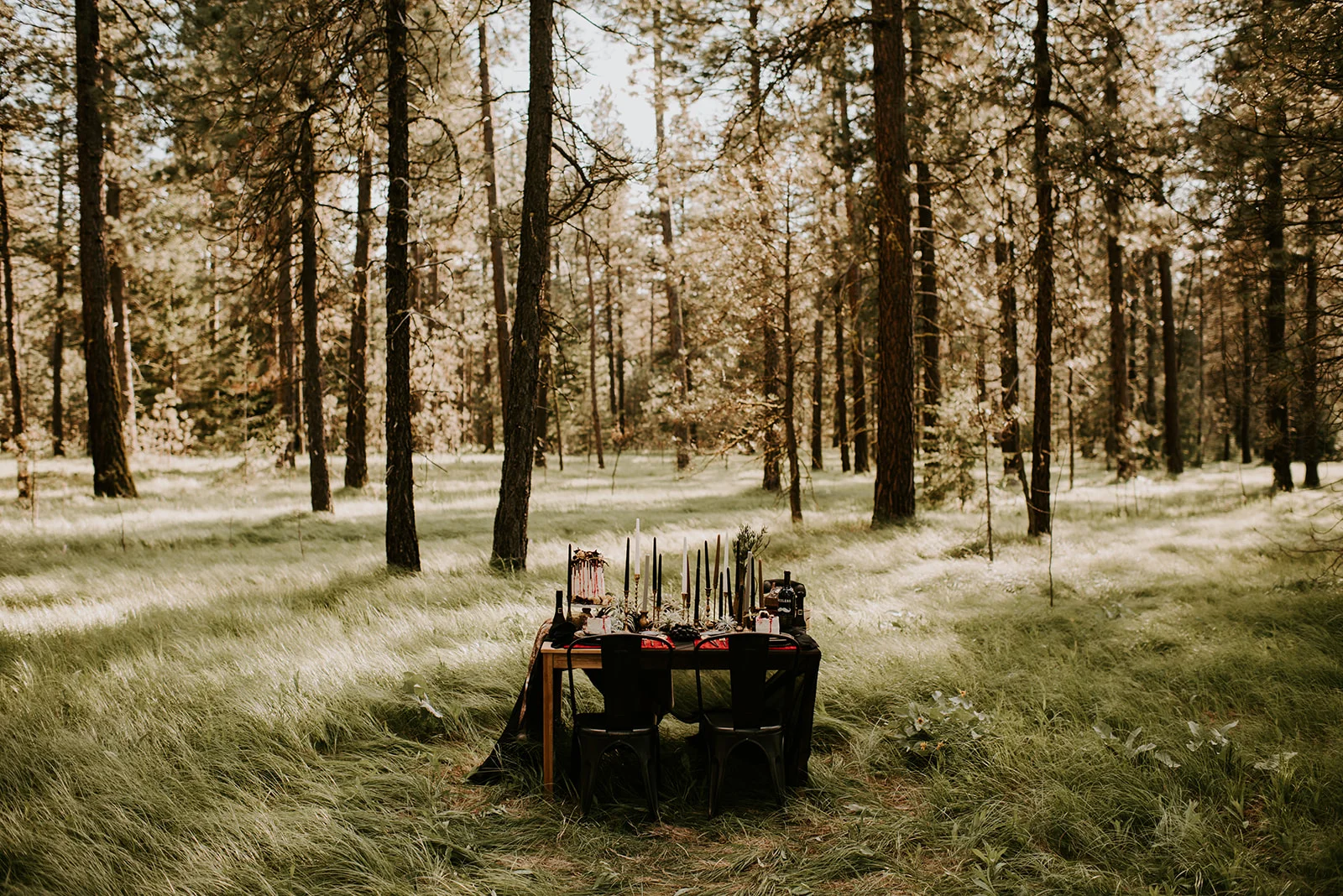 MFM.StyledShoot.KamraFullerPhotography.RockandStoneWeddings-98.jpg
