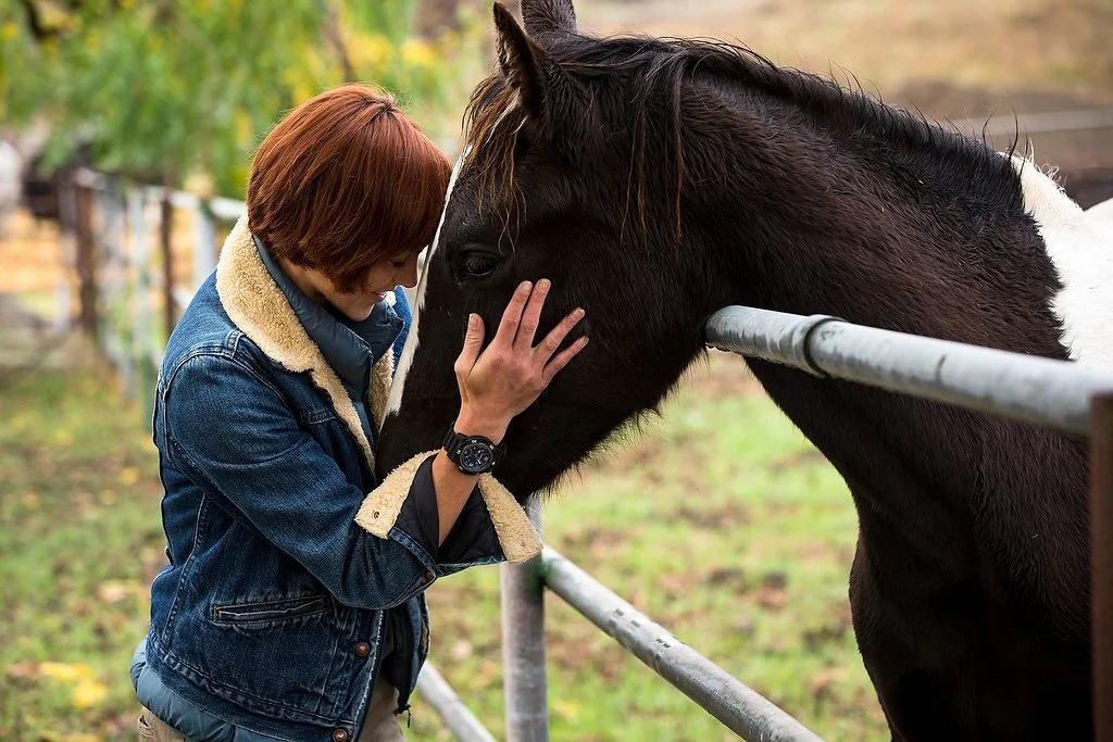 _70Q5092_00644_Horses.JPG