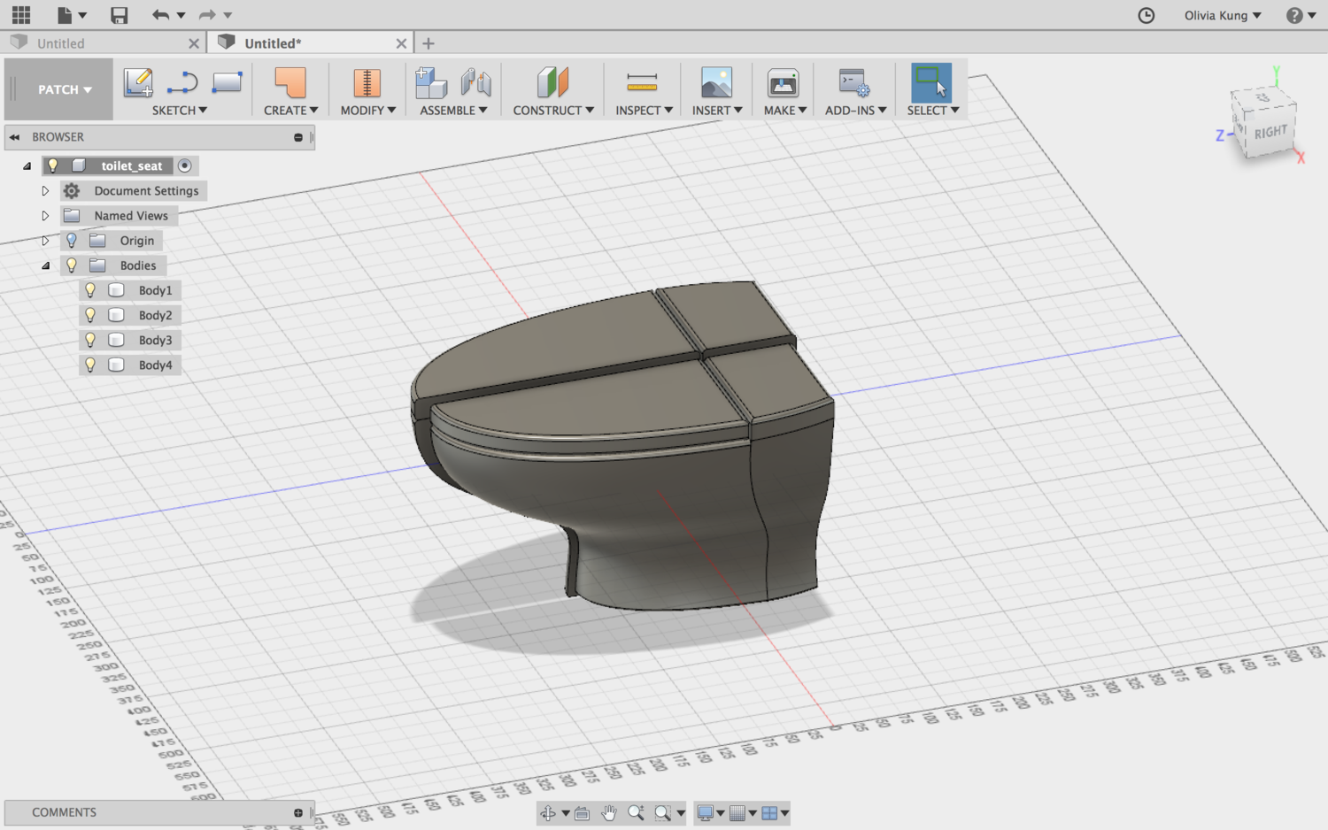 Toilet modified to apply skin.
