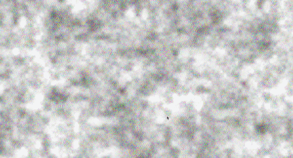 Second sketch I made using noise.