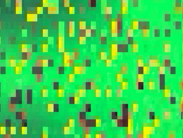 ezgif.com-optimize-2.gif
