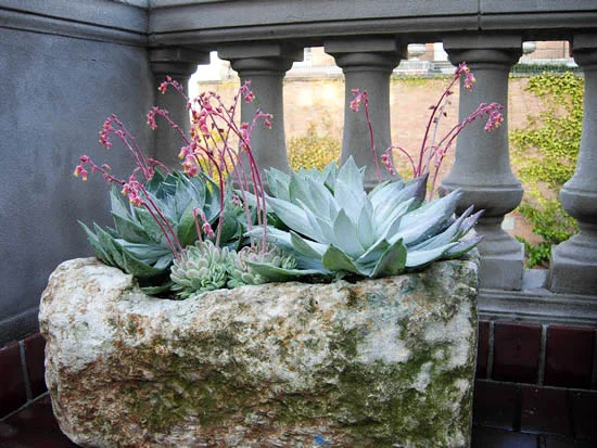 showhouse_2007_016_fs.jpg