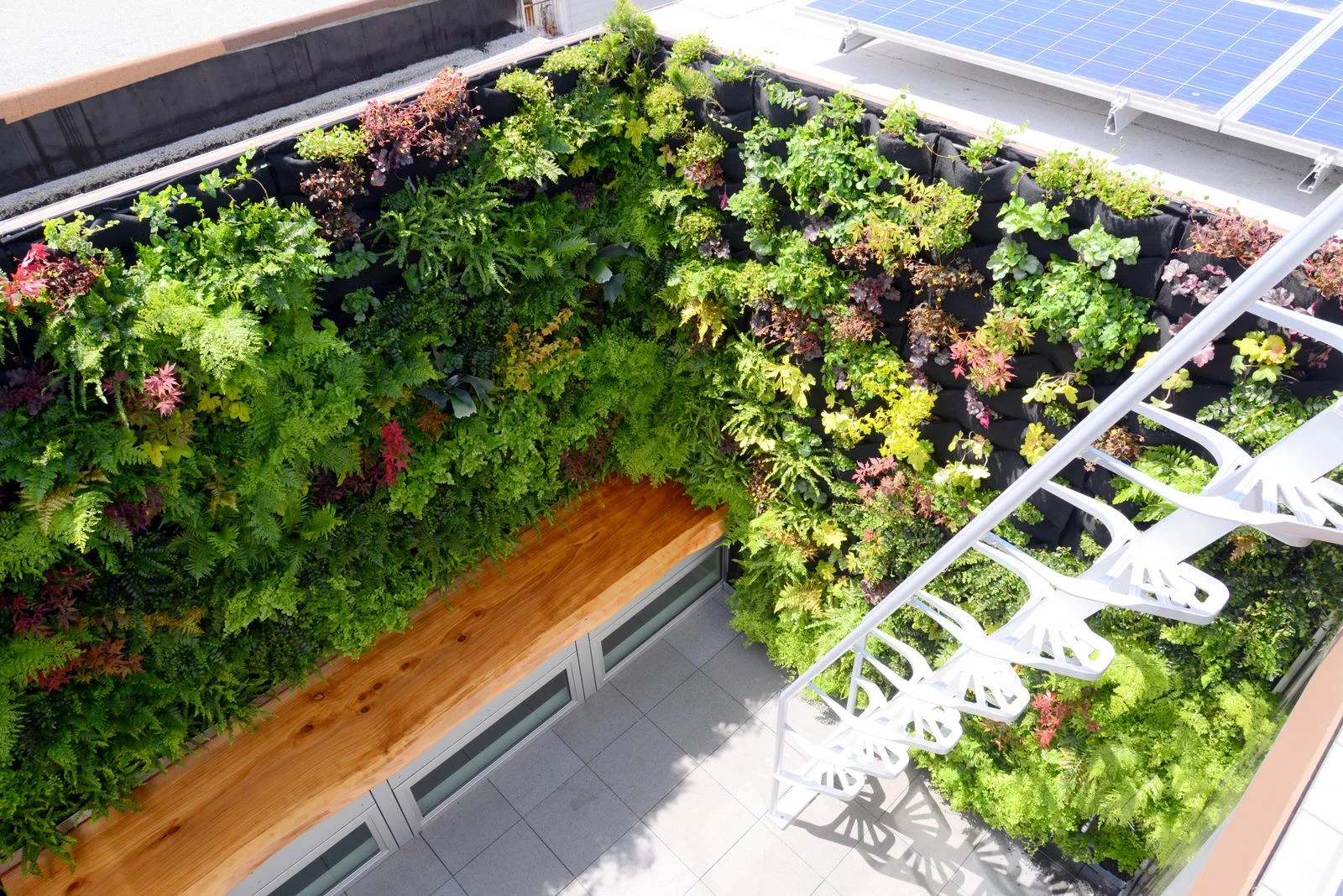 vertical garden looking down.jpg