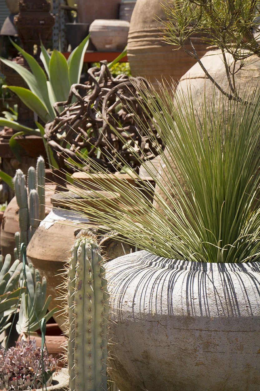Living Green_4064.jpg