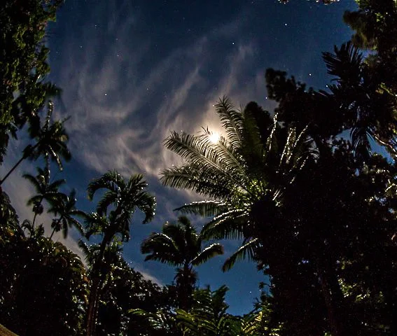 starry+night.jpg