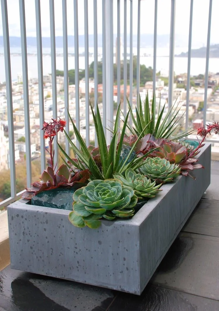 succulents+in+ORE+zinc.jpg