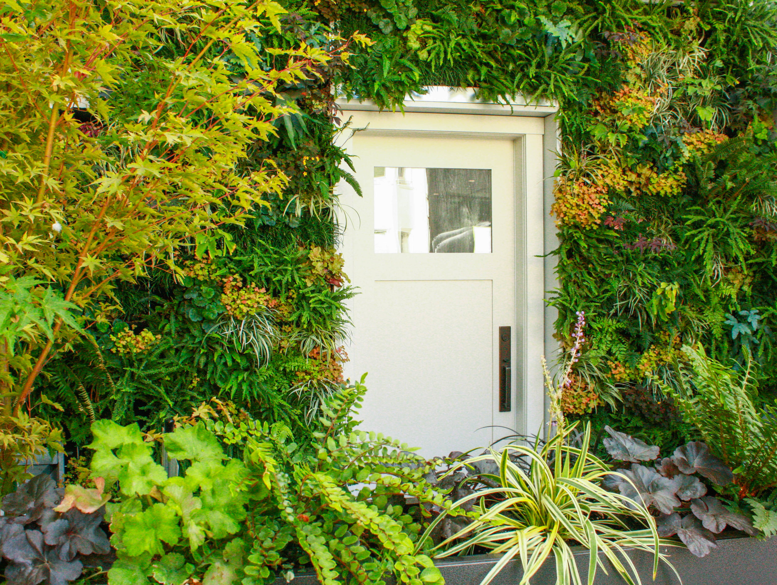 Mission District Gardens Go Vertical