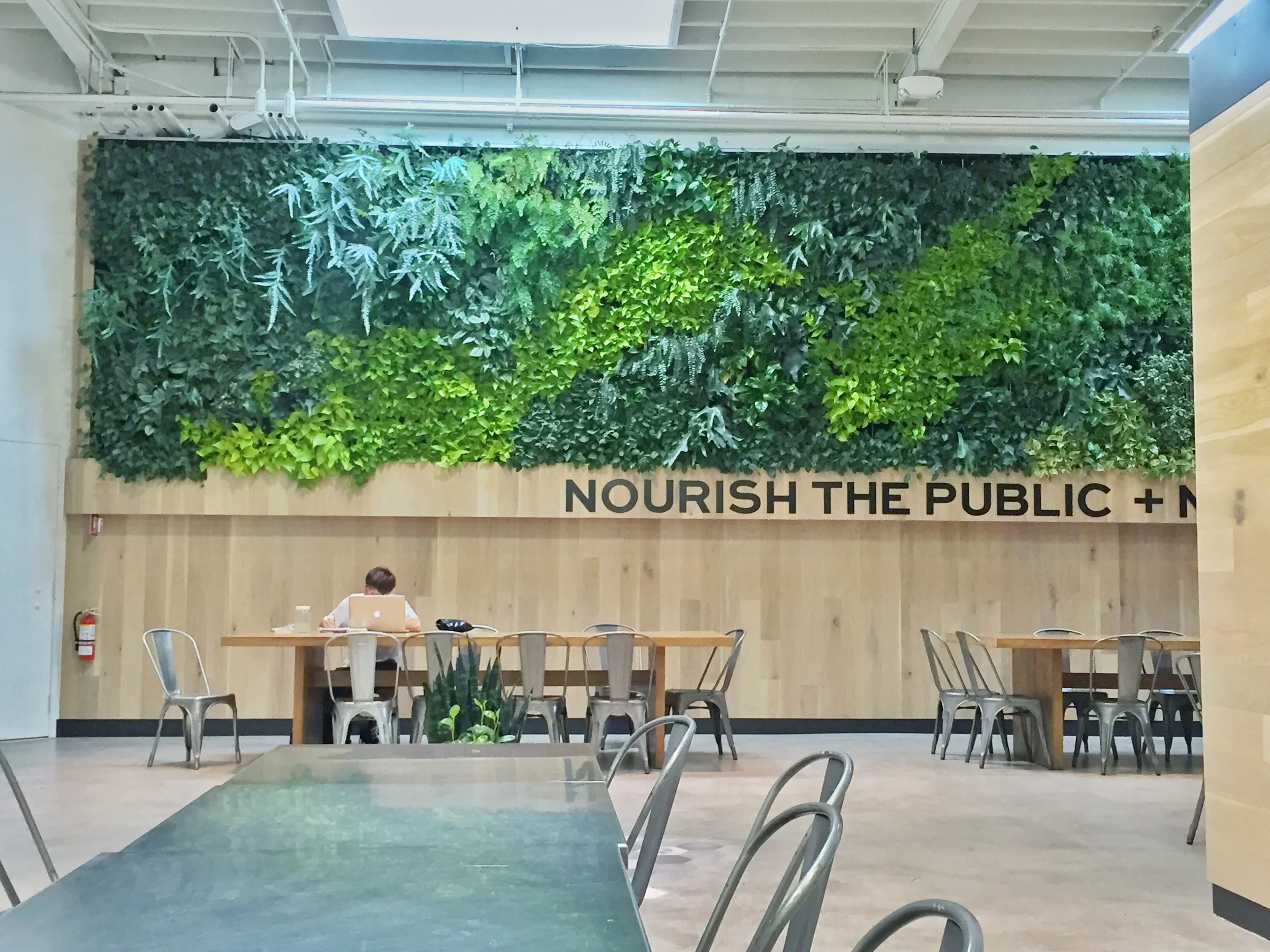 Stunning Interior Vertical Garden