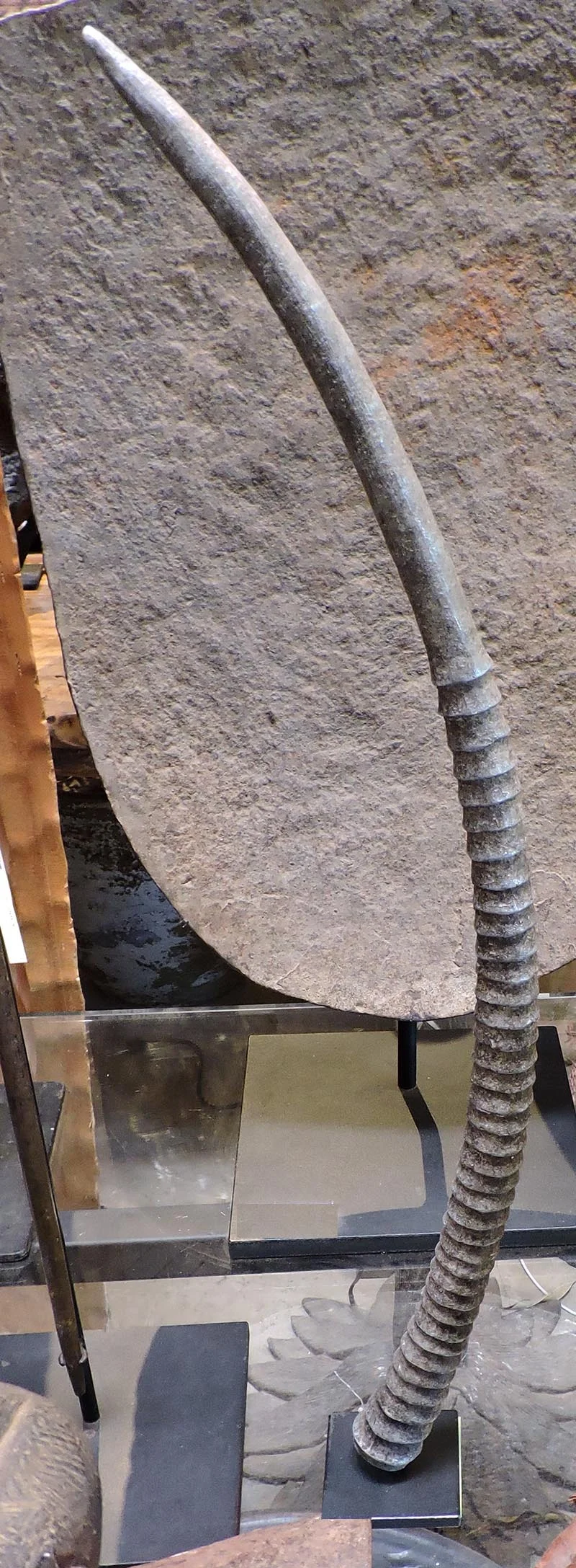 Igbo Tribe Currency, Early 20th Century