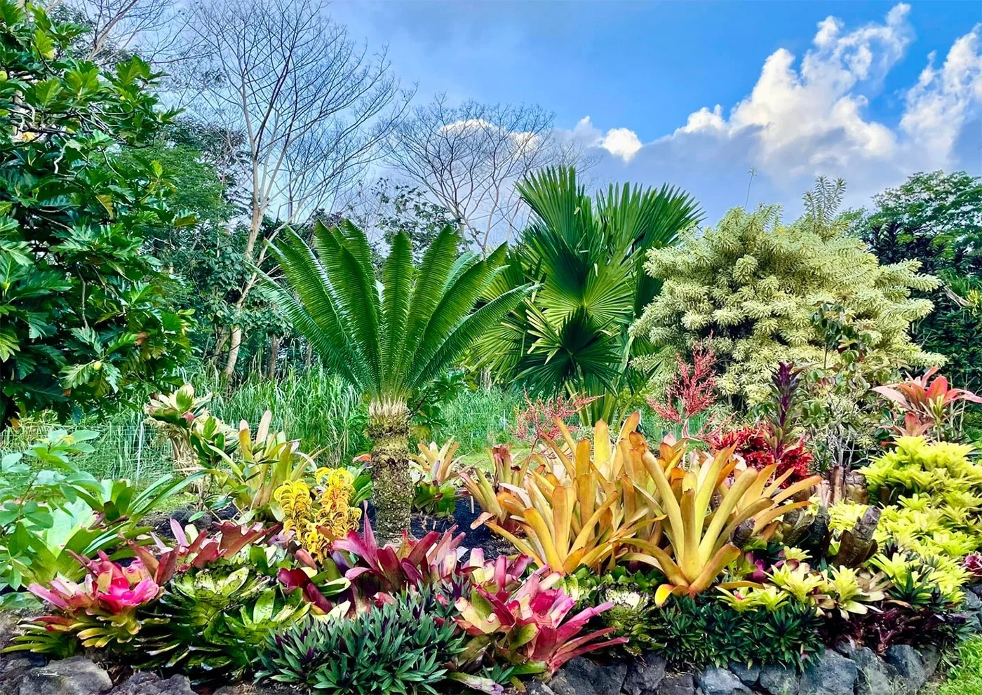 Living Green Design