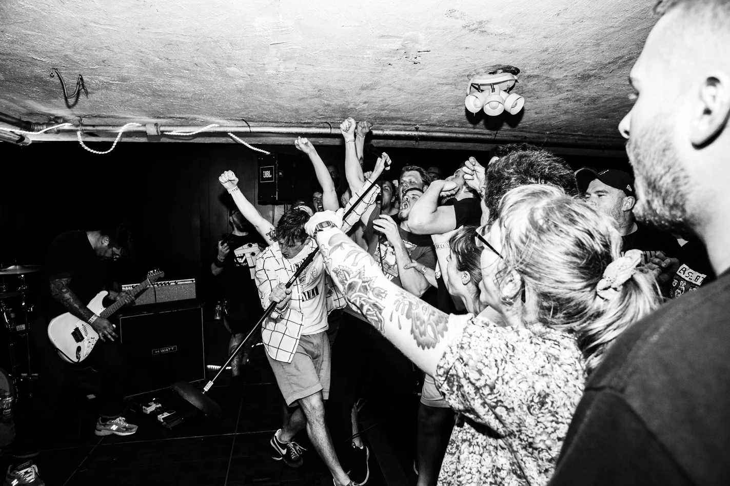 fiddlehead-4.jpg