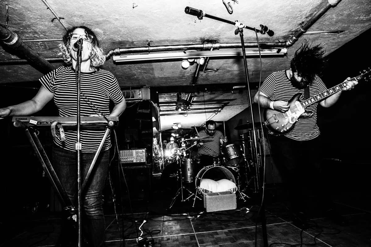 perennial-8.jpg