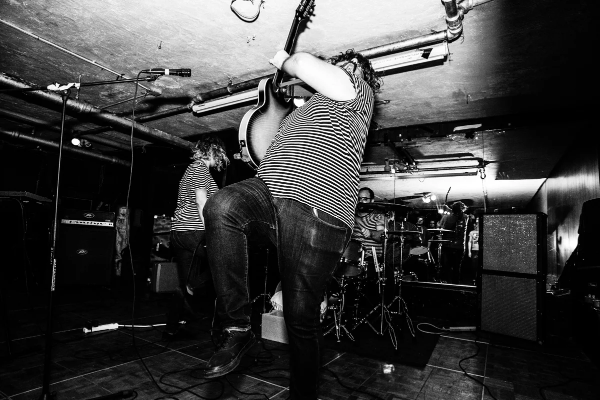 perennial-12.jpg
