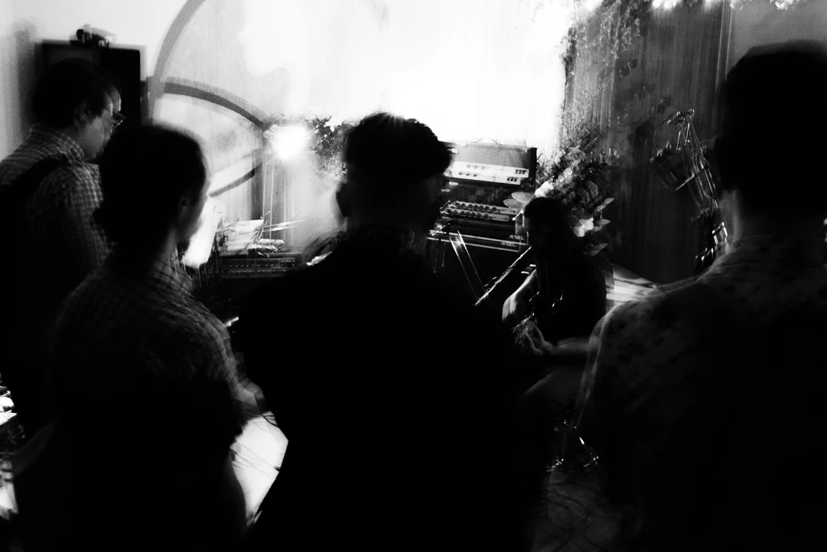 wiles (12).jpg