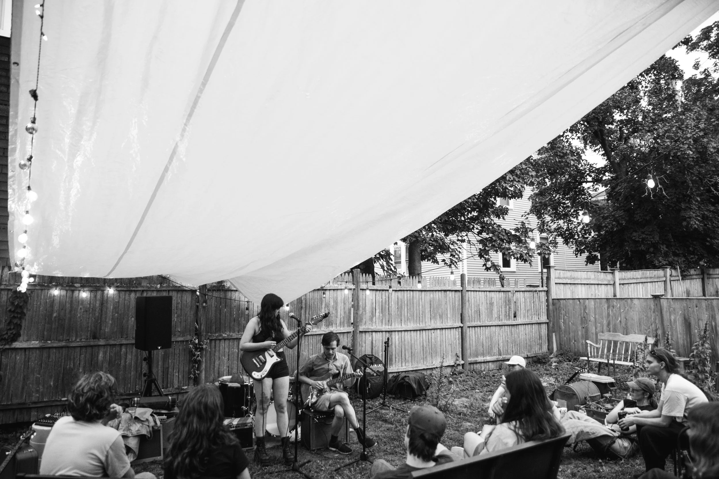 0726_saltygreyhound_002.jpg